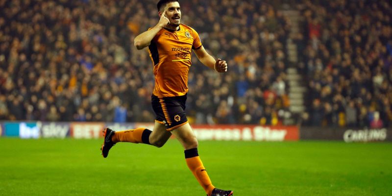 Wolves: Hy vọng từ sân nhà Molineux